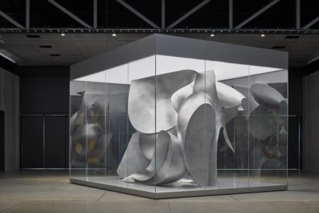 Liu Wei, Micoworld