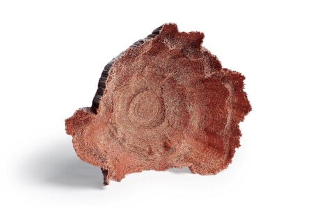 David Corbalán. Mención Especial Loewe Foundation Craft Prize 2021 | 2021 special mention david corvalan still