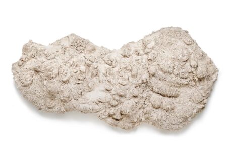 Fanglu Lin. Ganador Loewe Foundation Craft Prize 2021 | 2021 winner fanglu lin still