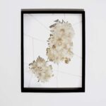 Serie L'all al cor. Josep Safont. Diseñadores españoles. Rising Talents. Maison & Objet | 2022_serie lall al cor josep safont
