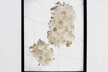 Serie L'all al cor. Josep Safont. Diseñadores españoles. Rising Talents. Maison & Objet | 2022_serie lall al cor josep safont