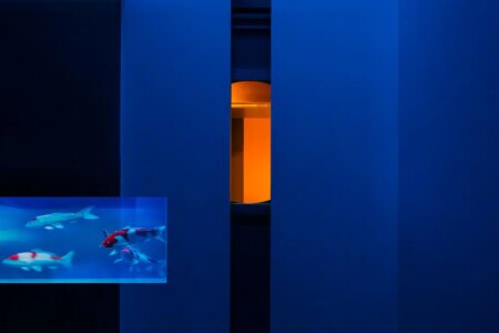 galería de arte, Cun Design, Box of Light | 28 4