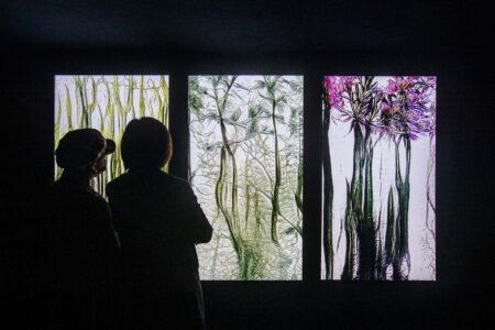 Artificial Botany. Fuse* | ab_hong kong design institute_hong kong_1 2