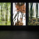 Artificial Botany. Fuse* | ab_hong kong design institute_hong kong_2 2
