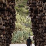 Festival TAC!, Lost Forest | adria goula_ lost forest_8606