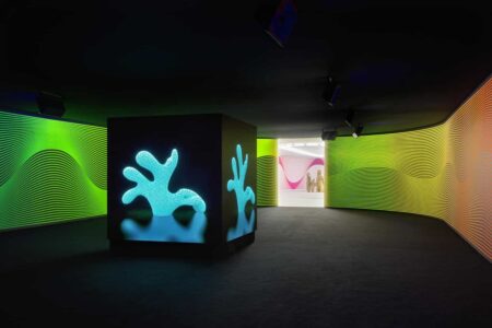 Claudia Comte. Museo Nacional Thyssen-Bornemisza | after nature10