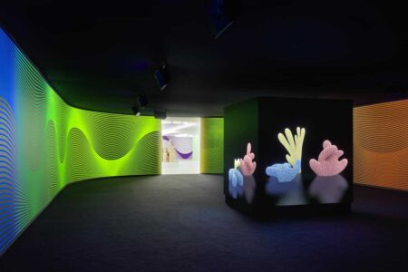 Claudia Comte. Museo Nacional Thyssen-Bornemisza | after nature11