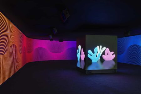 Claudia Comte. Museo Nacional Thyssen-Bornemisza | after nature12