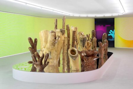 Claudia Comte. Museo Nacional Thyssen-Bornemisza | after nature13