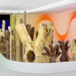 Claudia Comte. Museo Nacional Thyssen-Bornemisza | after nature14