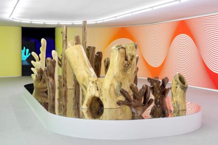 Claudia Comte. Museo Nacional Thyssen-Bornemisza | after nature14