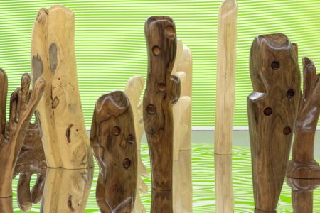 Claudia Comte. Museo Nacional Thyssen-Bornemisza | after nature15