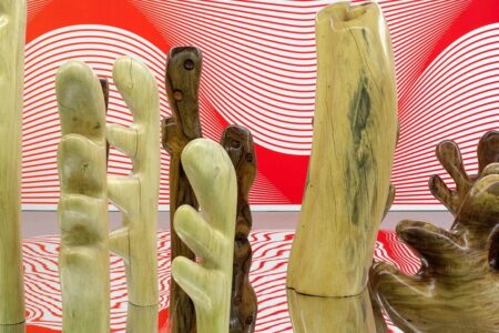 Claudia Comte. Museo Nacional Thyssen-Bornemisza | after nature5