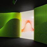 Claudia Comte. Museo Nacional Thyssen-Bornemisza | after nature7