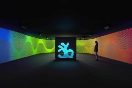 Claudia Comte. Museo Nacional Thyssen-Bornemisza | after nature9