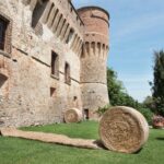 land art. arte povera. Alejandro Haiek | alejandro haiek roomdiseno11