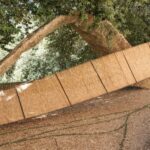 land art. arte povera. Alejandro Haiek | alejandro haiek roomdiseno15