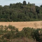 land art. arte povera. Alejandro Haiek | alejandro haiek roomdiseno6