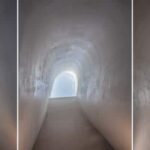 baño público, PAO, arquitectura orgánica | amoeba5