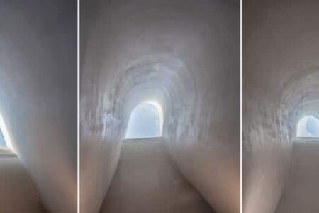 baño público, PAO, arquitectura orgánica | amoeba5