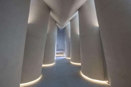 baño público, PAO, arquitectura orgánica | amoeba8