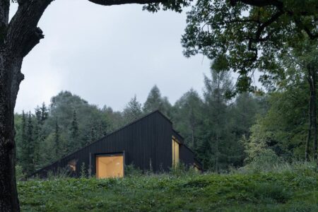 House by the Lake, madera negra, juego de cubos Appels Architekten | appels architekten