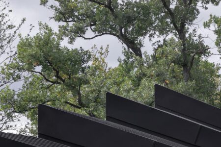 House by the Lake, madera negra, juego de cubos Appels Architekten | appels architekten7
