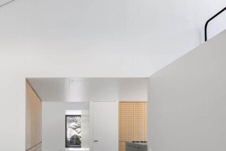 House by the Lake, madera negra, juego de cubos Appels Architekten | appels architekten8