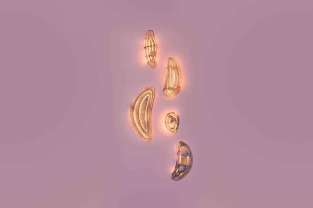 Aqua Fossil Wall Lights. Amarist