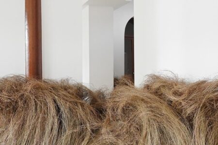Atuxuá. Humberto Campana. æquō | atuxua_estudio campana_aequo 1