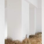 Atuxuá. Humberto Campana. æquō | atuxua_estudio campana_aequo 15