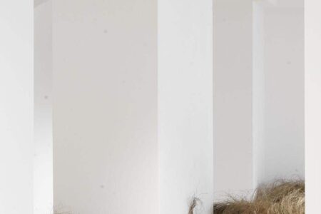 Atuxuá. Humberto Campana. æquō | atuxua_estudio campana_aequo 15