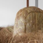 Atuxuá. Humberto Campana. æquō | atuxua_estudio campana_aequo 2