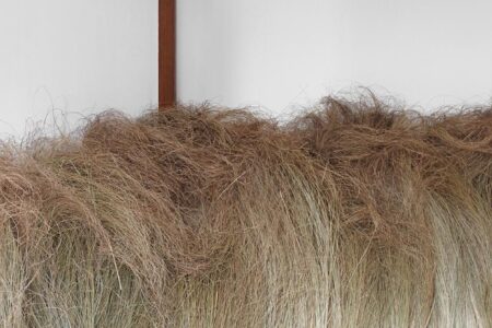 Atuxuá. Humberto Campana. æquō | atuxua_estudio campana_aequo 5