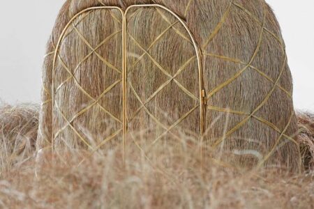 Atuxuá. Humberto Campana. æquō | atuxua_estudio campana_aequo 6