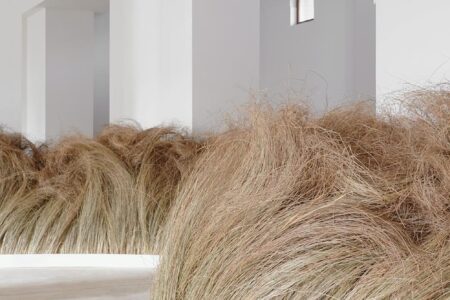 Atuxuá. Humberto Campana. æquō | atuxua_estudio campana_aequo 7