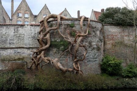 Banisteria Caapi (Desnatureza 4). Henrique Oliveira. 2021. Bruges Triennale. Arte y naturaleza | banisteria caapi desnatureza 4 2021 bruges triennale plywood and metal 5x6x1m no photo credit