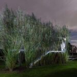 Baubotanik. mundo vegetal. arquitectura verde | baubotonik7