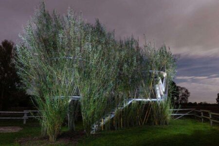 Baubotanik. mundo vegetal. arquitectura verde | baubotonik7