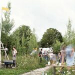 Baubotanik. mundo vegetal. arquitectura verde | baubotonik8