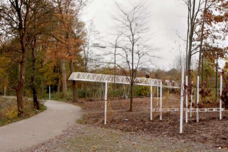 Baubotanik. mundo vegetal. arquitectura verde | baubotonik9