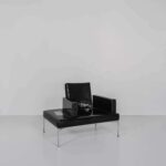 Beasts Series. Sam Chermayeff. Side Gallery Barcelona | beasts_series sam_chermayeff side_gallery roomdiseno15