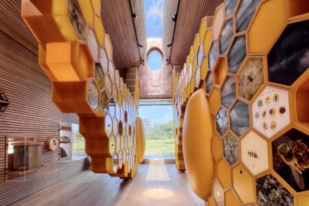 Beezantium. Casa para abejas. Invisible Studio | beezantium roomdiseno3
