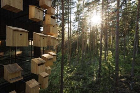 Biosphere. BIG Architects