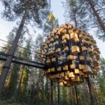 BIG. Biosphere. BIG Architects. Treehotel | biosphere big architects12