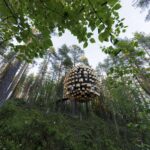 BIG. Biosphere. BIG Architects. Treehotel | biosphere big architects13