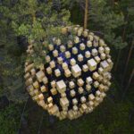 BIG. Biosphere. BIG Architects. Treehotel | biosphere big architects16