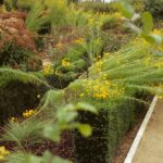 Blois Jardin des simples et des fleurs royales. Gilles Clément. Paisajista francés. El jardín en movimiento | blois_jardin_des_simples_et_des_fleurs_royales gilles_clement roomdiseno
