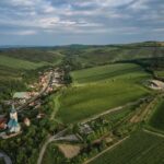Bodega, viñedos, cubierta verde | bodega gurdau