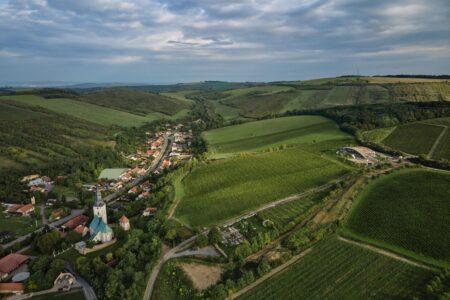 Bodega, viñedos, cubierta verde | bodega gurdau